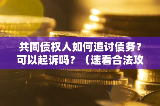 济南共同债权人如何追讨债务？可以起诉吗？（速看合法攻略）